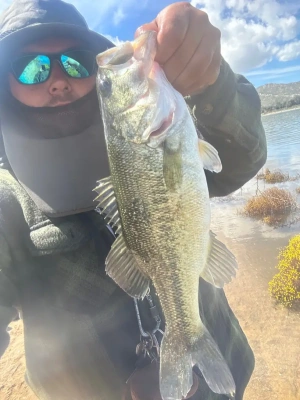 HE1000-HE7000 Series Fishing Reel