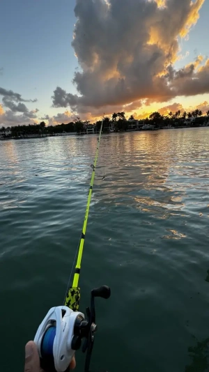 Ultralight 5-Section Travel Fishing Rod