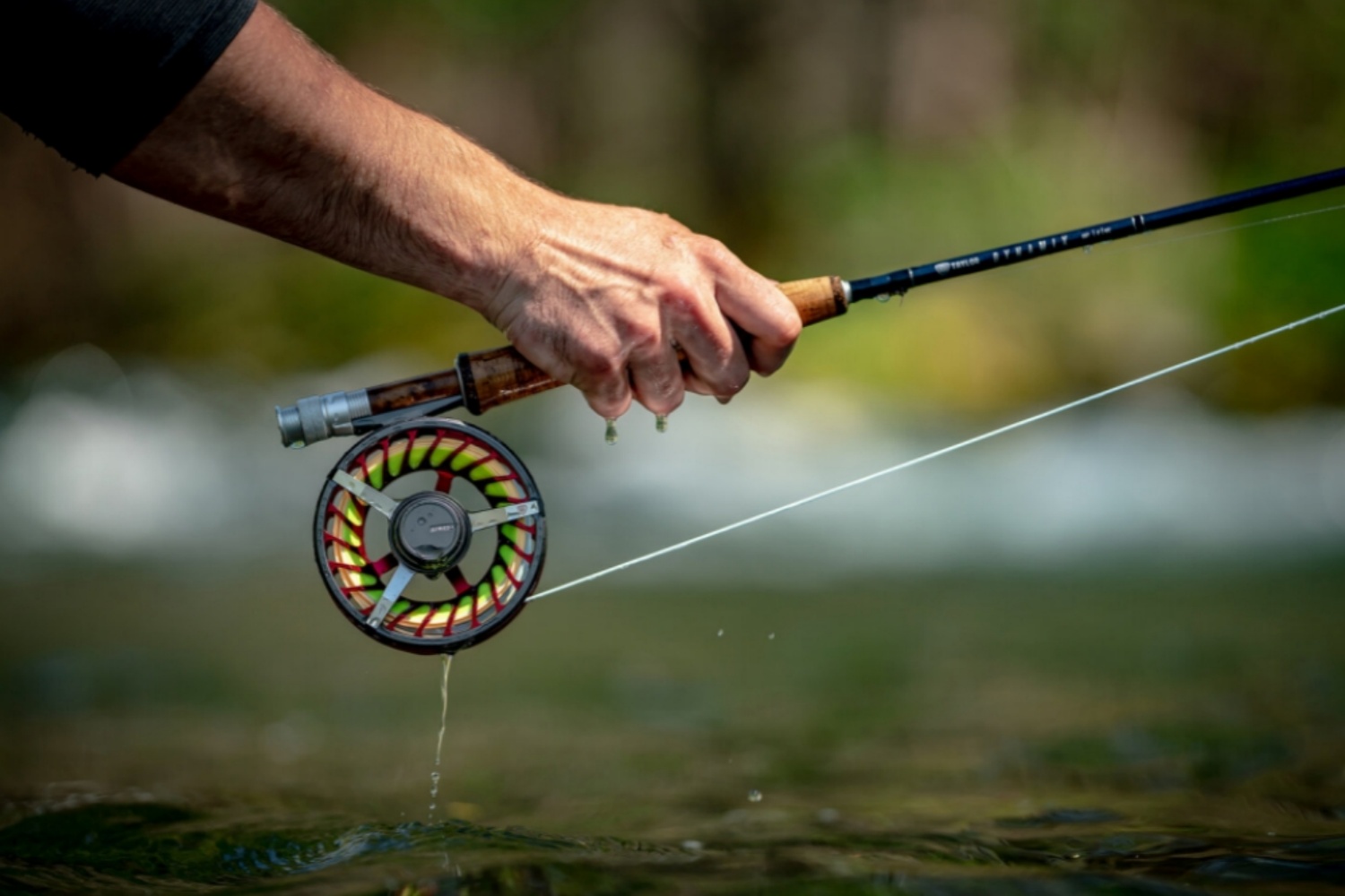 Advocates for Green Fishing