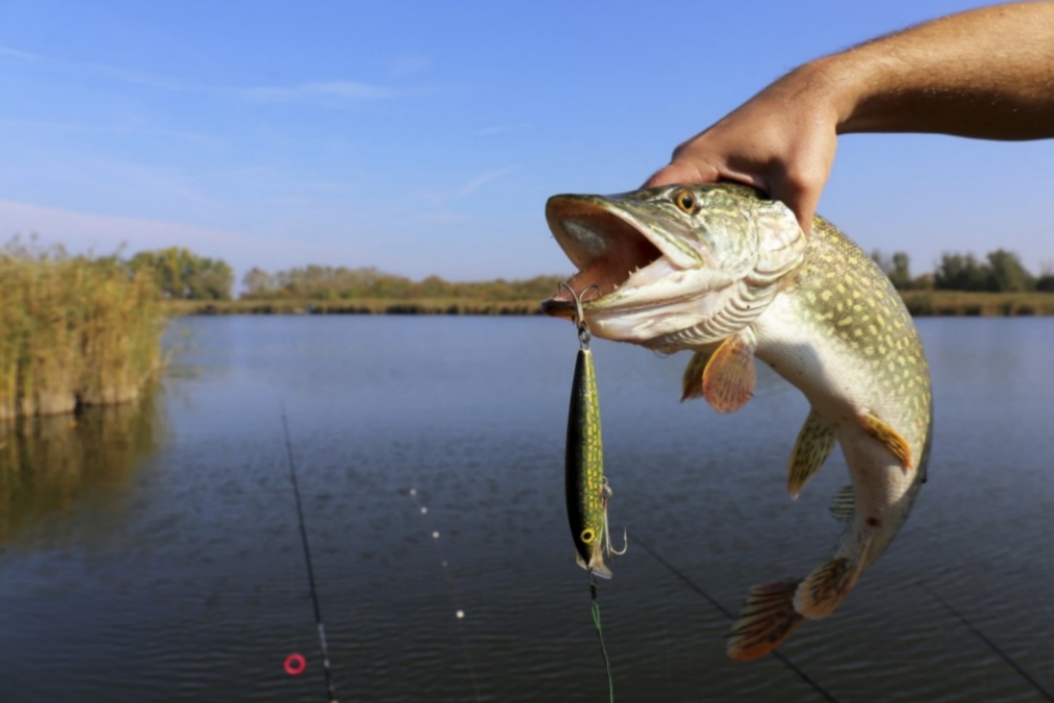 Castaways-Freshwater-fishing