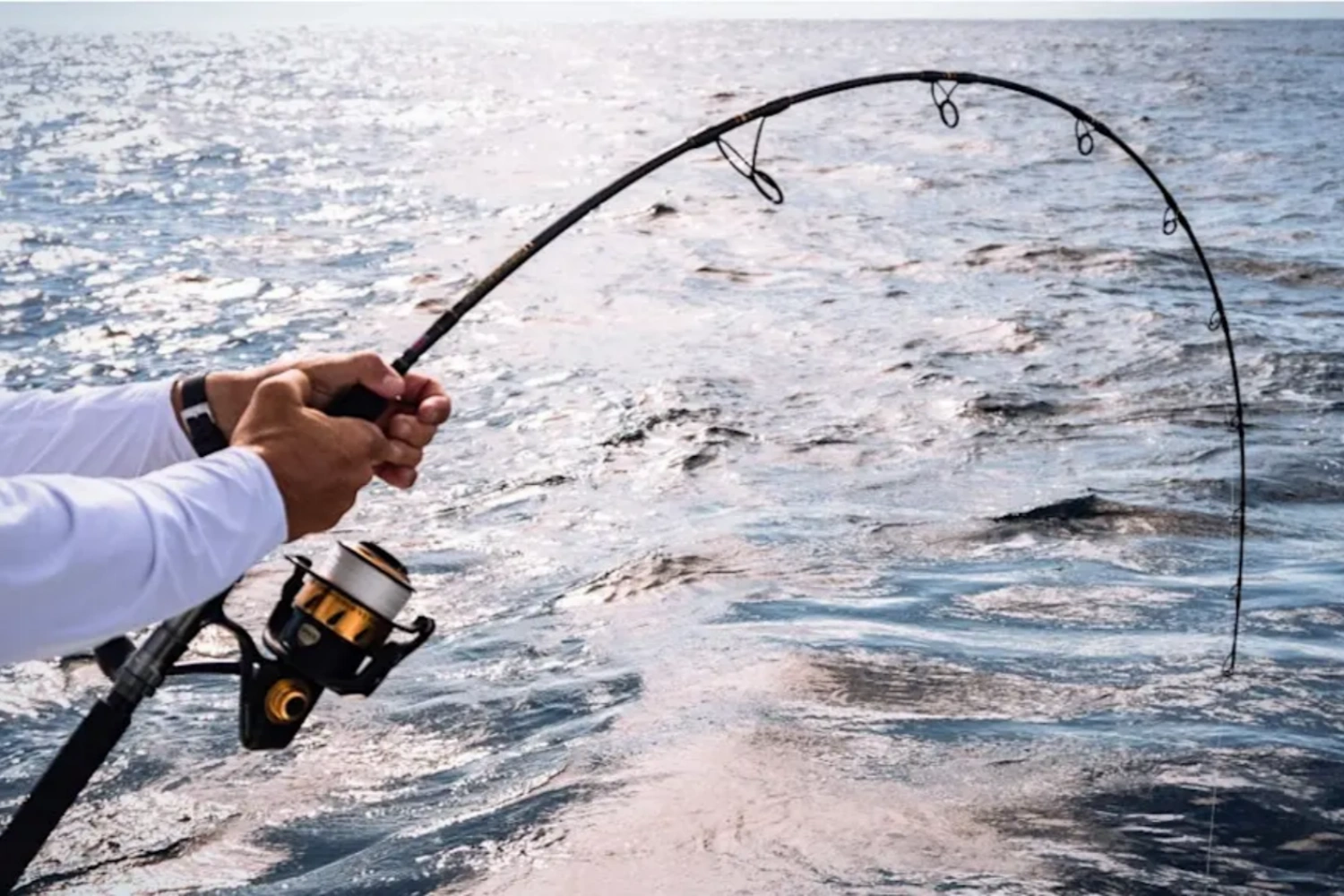 Deep Sea Fishing Rods1