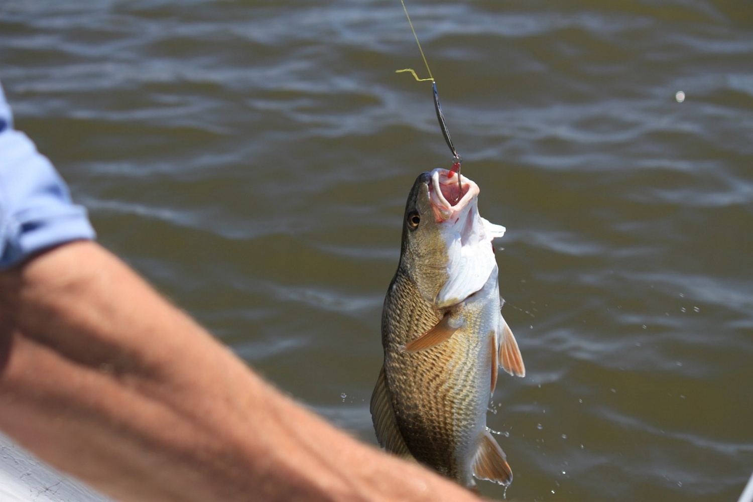 Fishing
