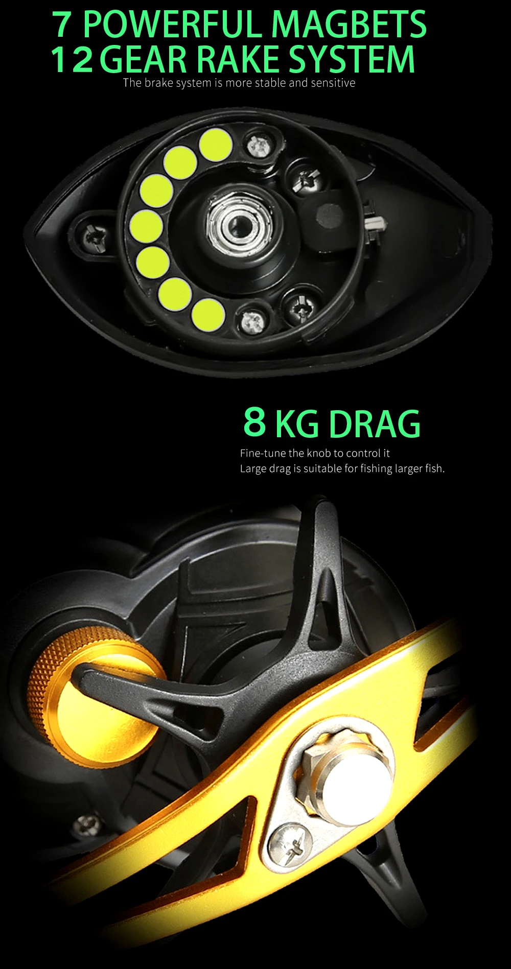 Fishing Pesca Bait casting Reel5