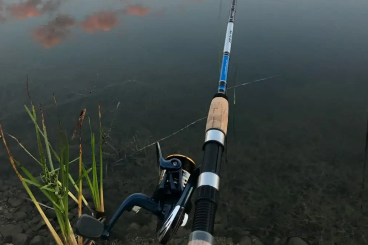 Fishing Rod Guides