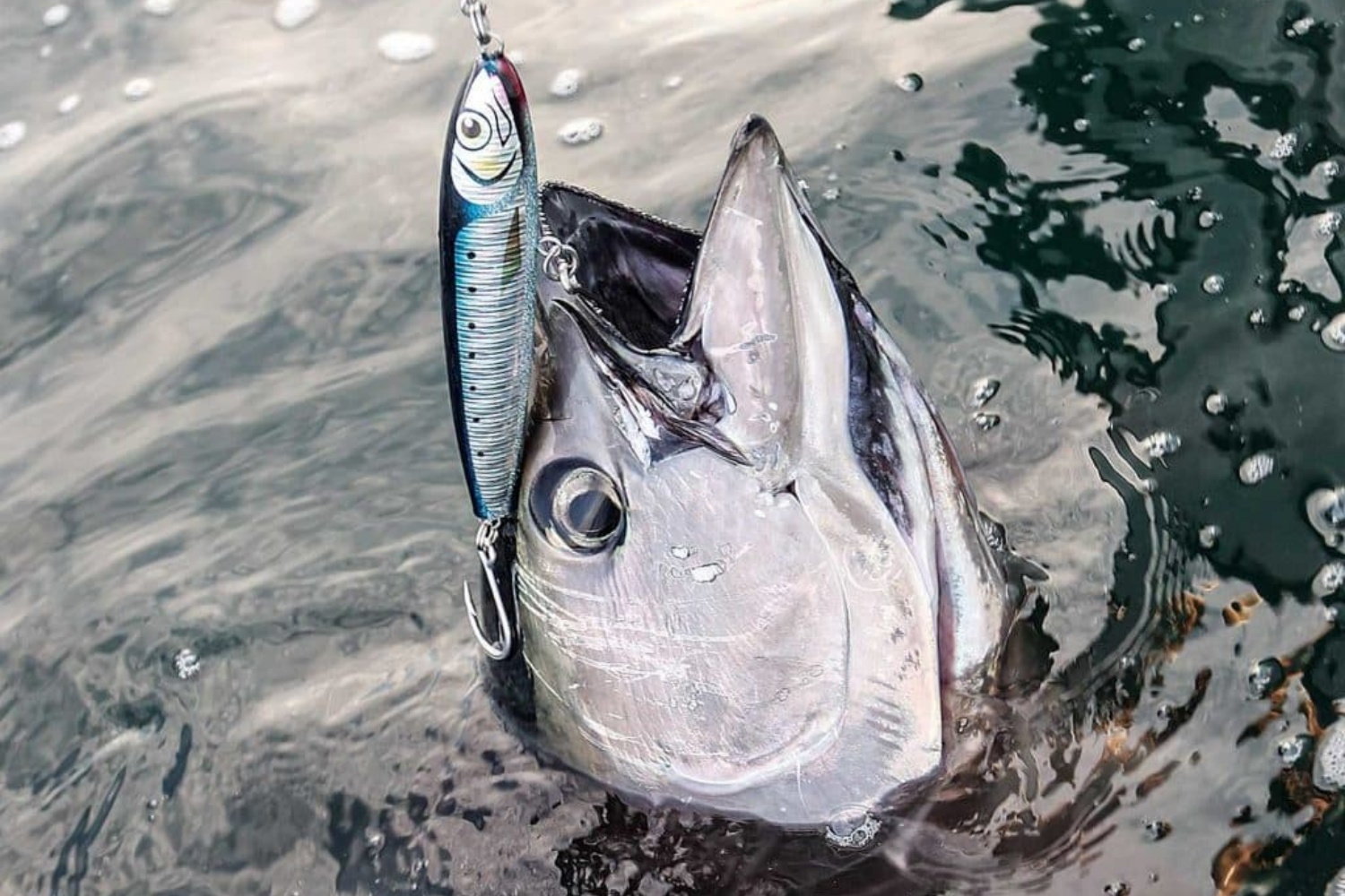 Fishing-RodMetal-vs.-Plastic-Spinners2