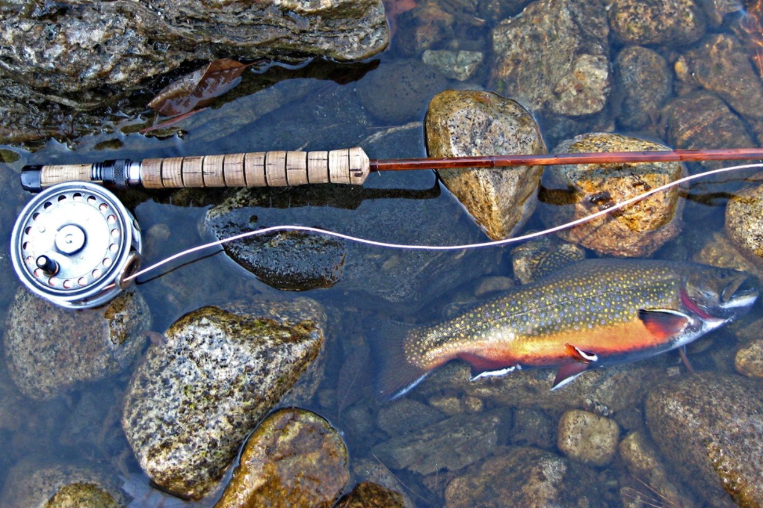 Fishing Rods