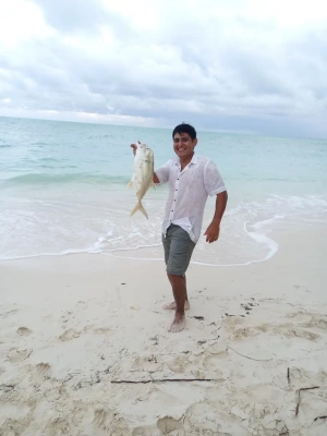 HE1000-HE7000 Series Fishing Reel