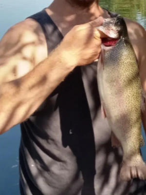 HE1000-HE7000 Series Fishing Reel
