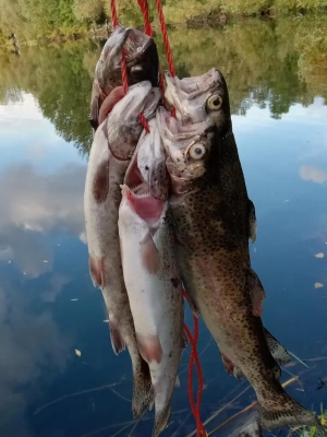 HE1000-HE7000 Series Fishing Reel