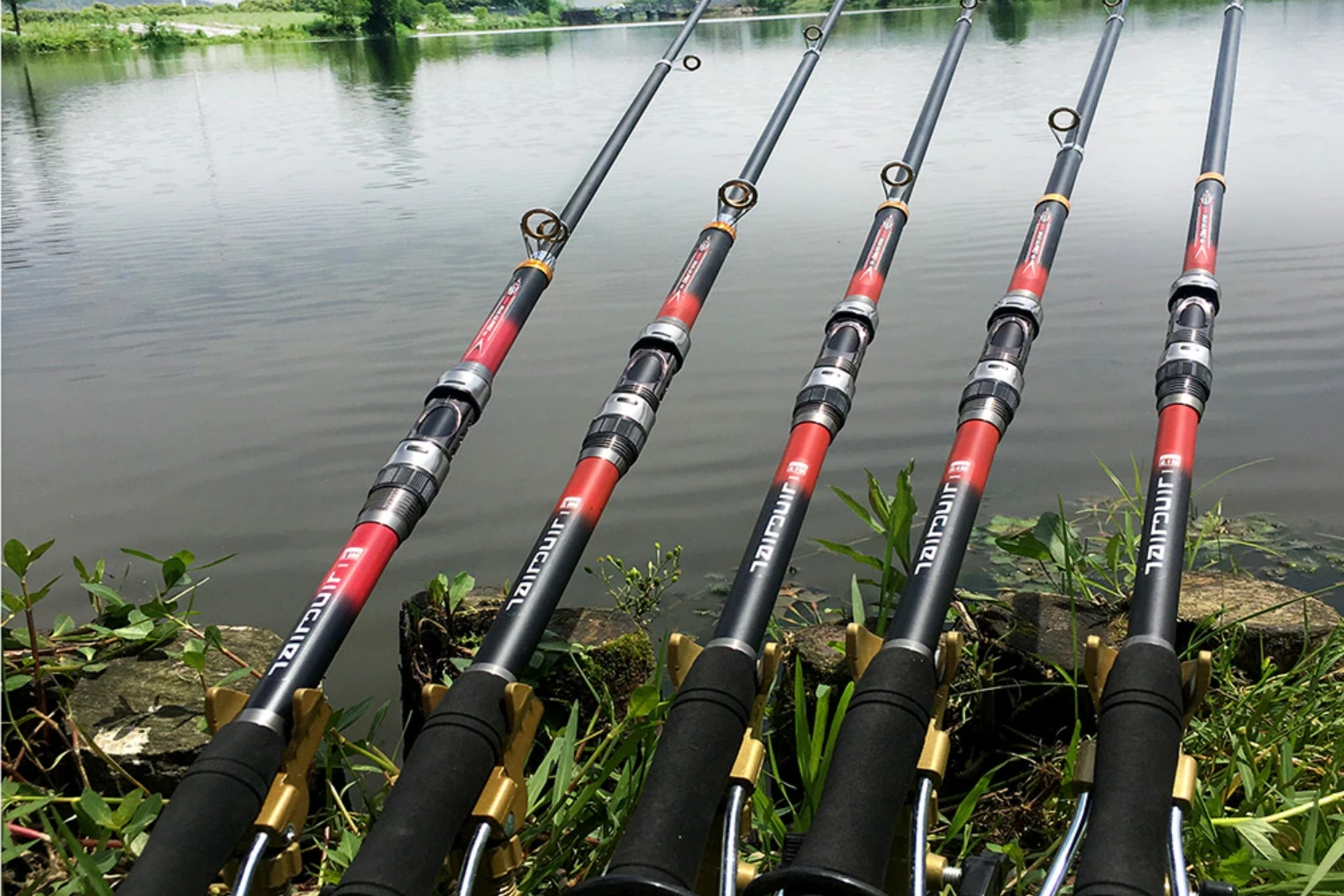How to Choose a Suitable Fishing Rods