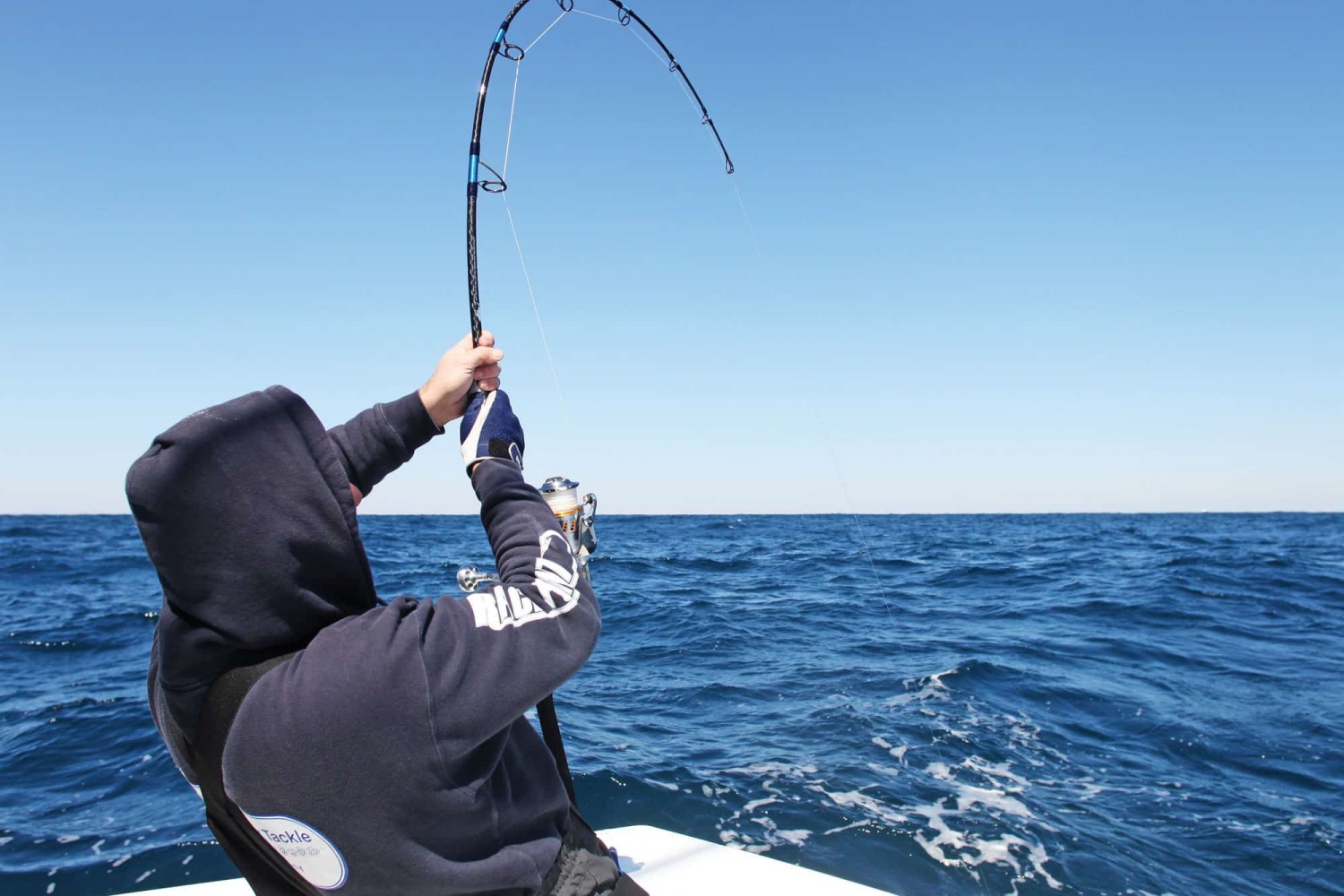 Pick-Rod-Length-and-Action