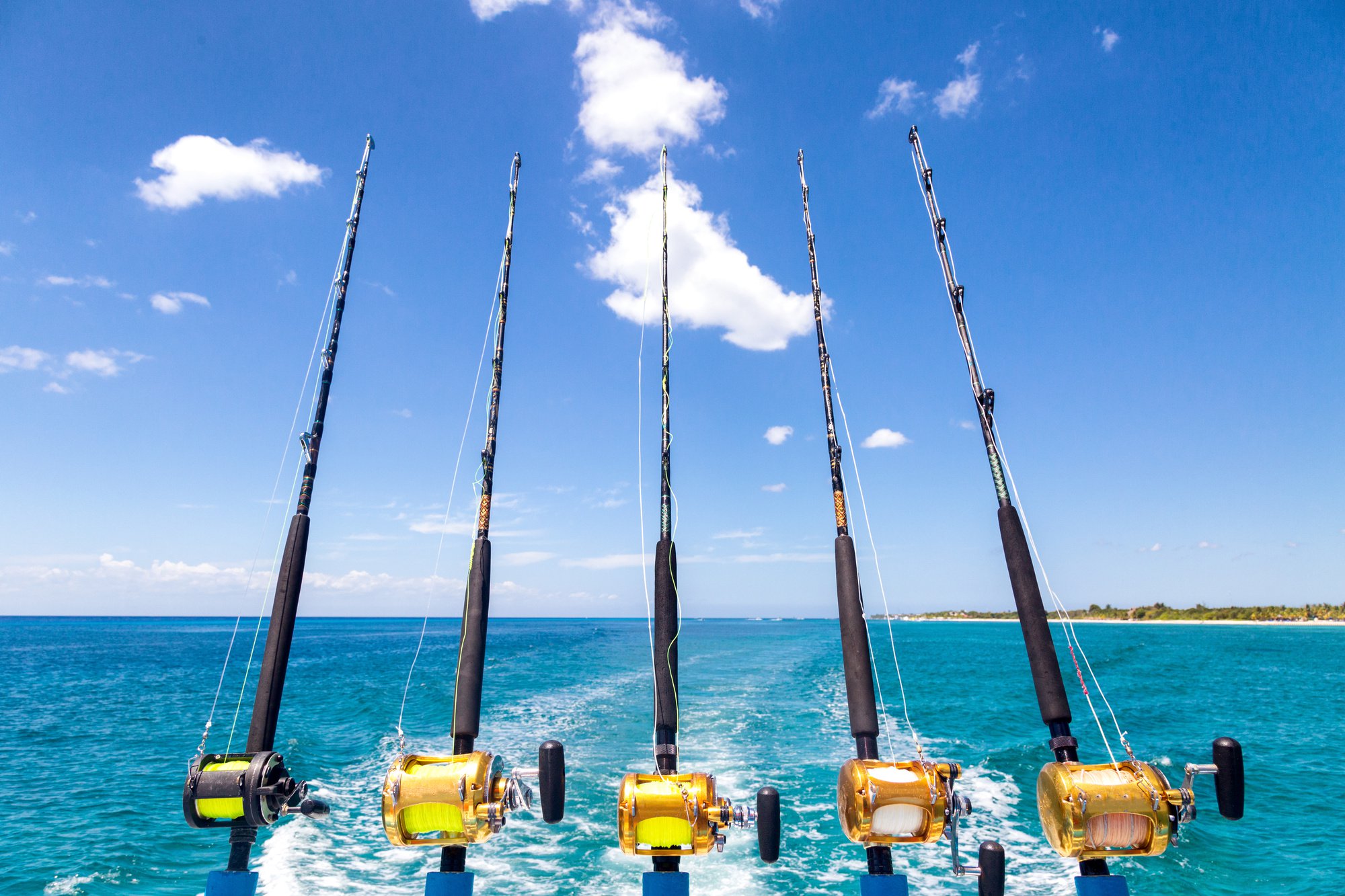 Sea-Pole-vs-Fishing-Rod