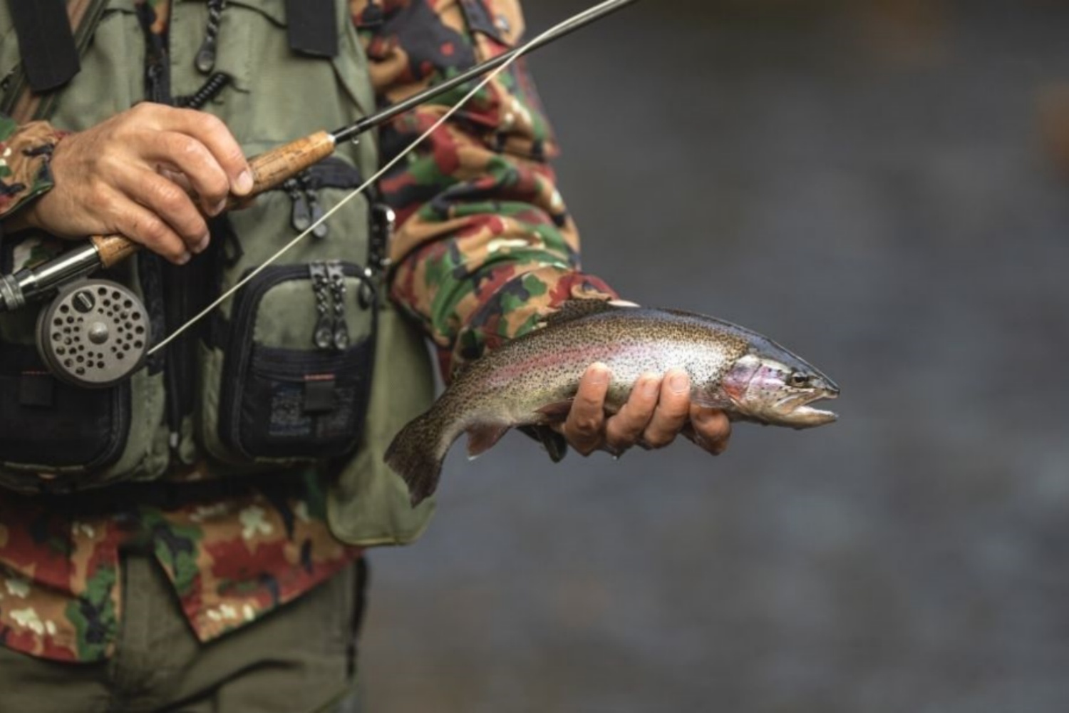The-Evolution-of-Fishing-Reels