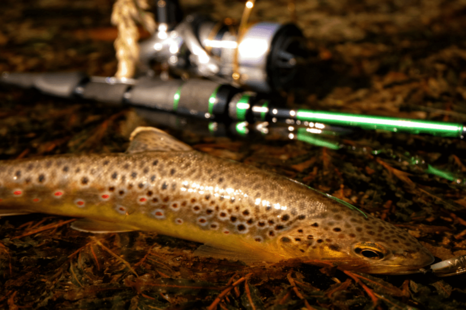Trout-Fishing-Gear-List-Feature-Image