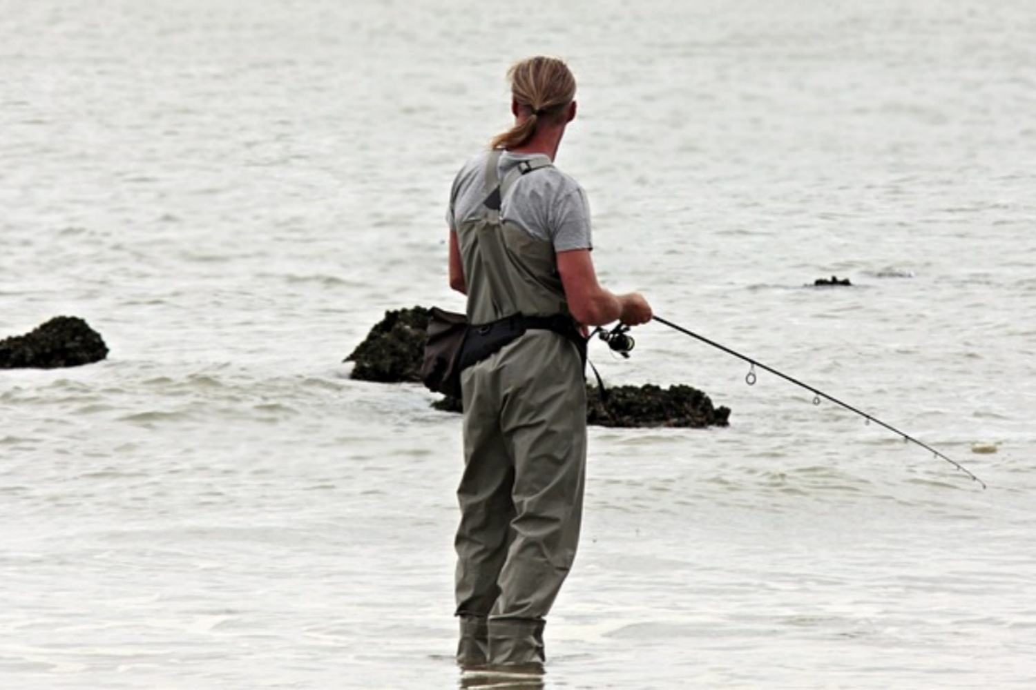 angler-3071970_640