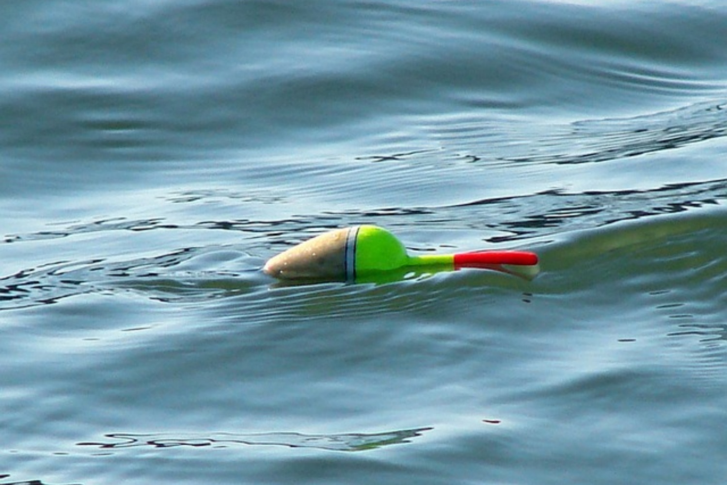 fish-bob