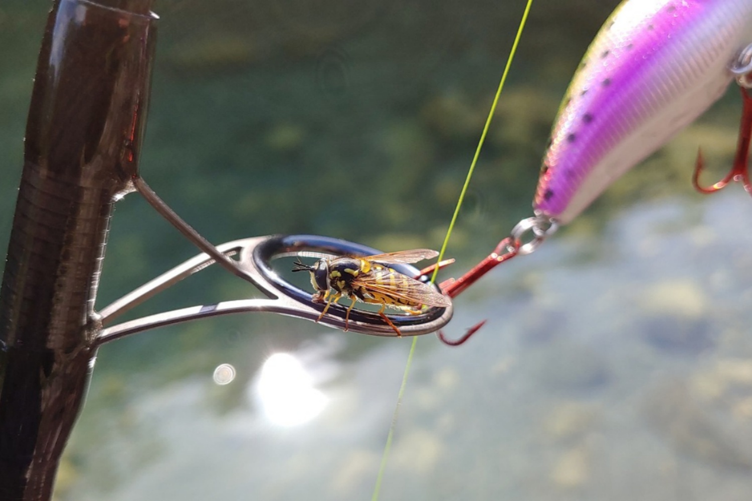 fishing