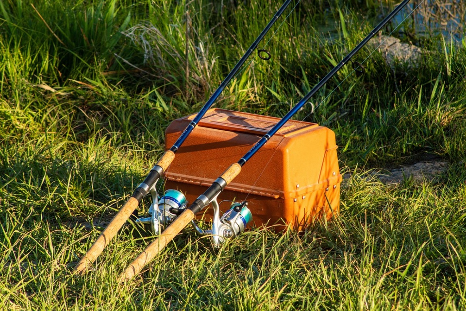 fishing-poles