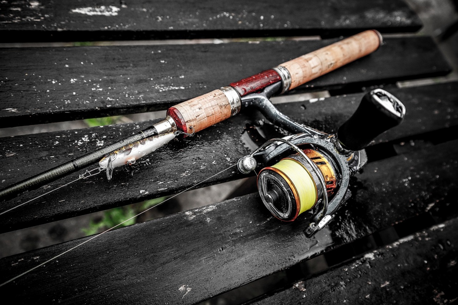 fishing-rod