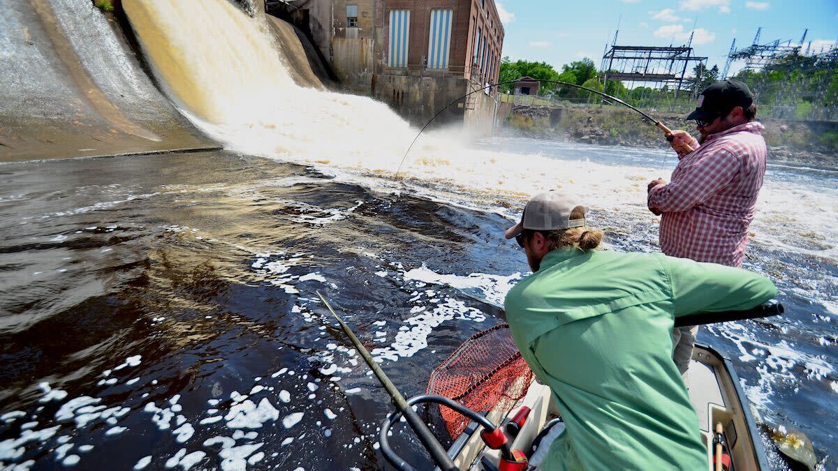 fly_fishing_rod_weight_and_action_explained