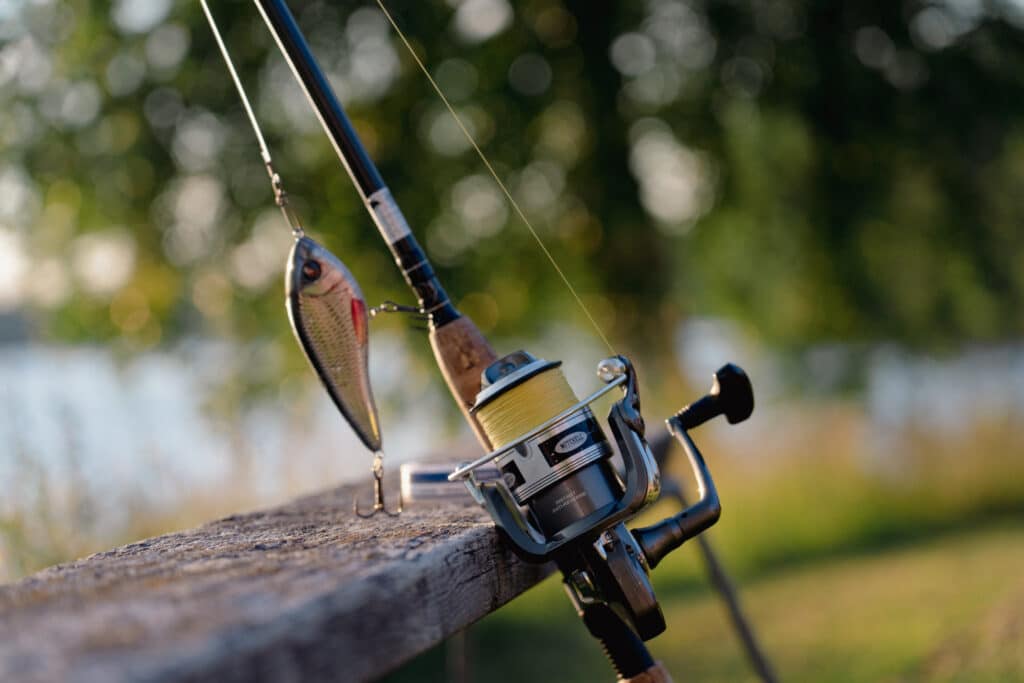 spinning-rod