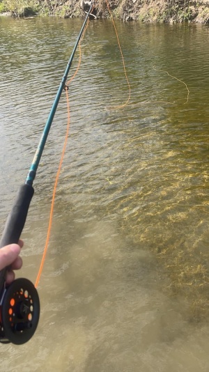Fly Fishing Kit