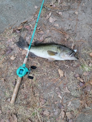 Sougayilang Fishing Rod and Reel Combo