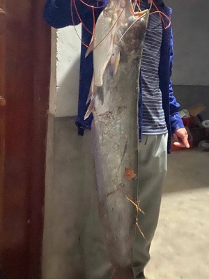 Fishing-Reel