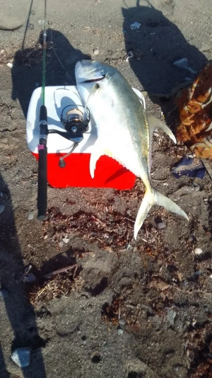 Fishing-Reel