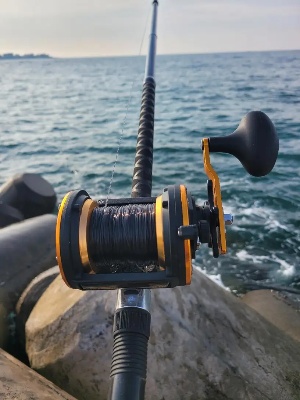 Fishing Reel