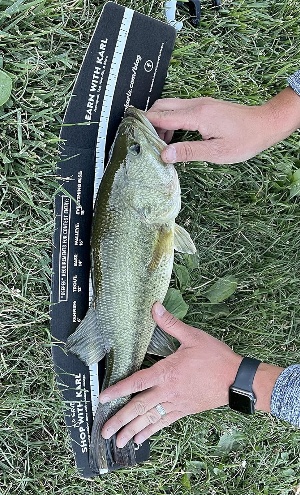 KastKing Royale Legend II Baitcasting Reels