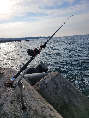 Fishing Reel