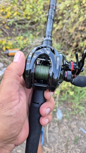 KastKing Royale Legend II Baitcasting Reels