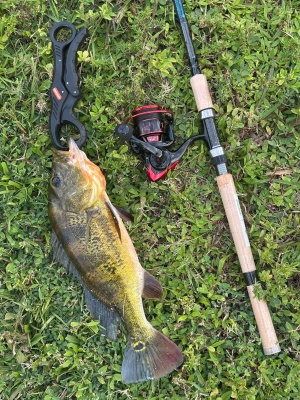 KastKing Sharky III Fishing Reel – New Spinning Reel