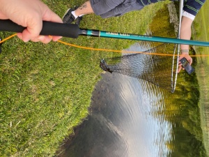 Martin Complete Fly Fishing Kit